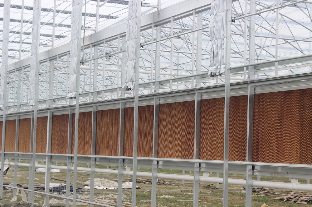 智能温室大棚冷却操作系统规范过程有哪些？