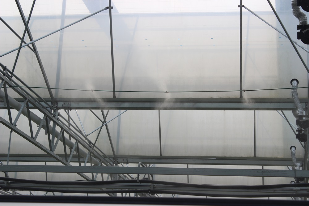 如何对温室大棚进行湿度调节？