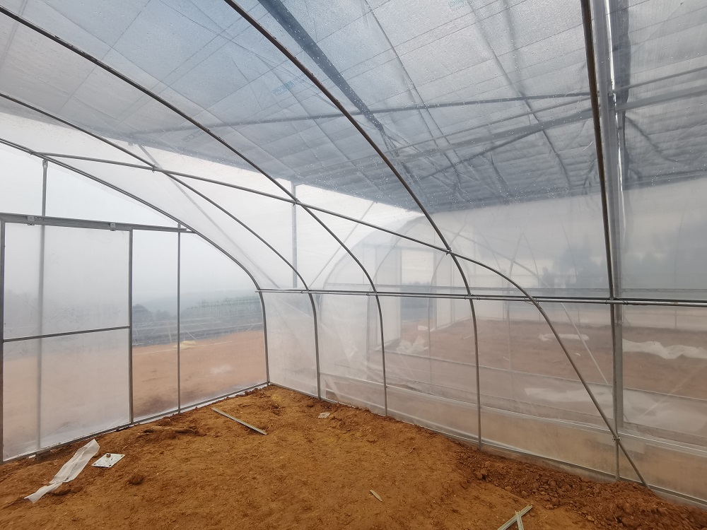 如何日常维护薄膜温室大棚的薄膜？