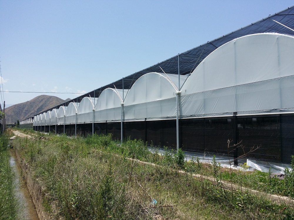 使用连栋温室大棚有什么好处？