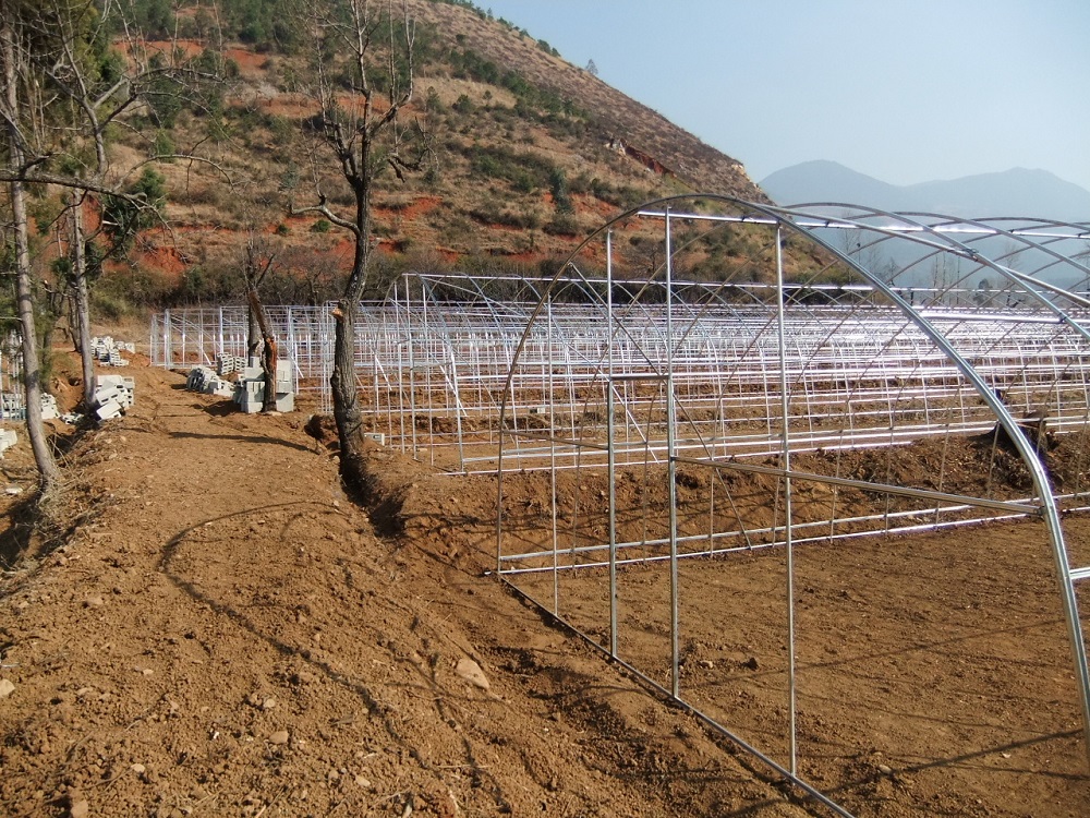 ?如何建造单体拱棚？