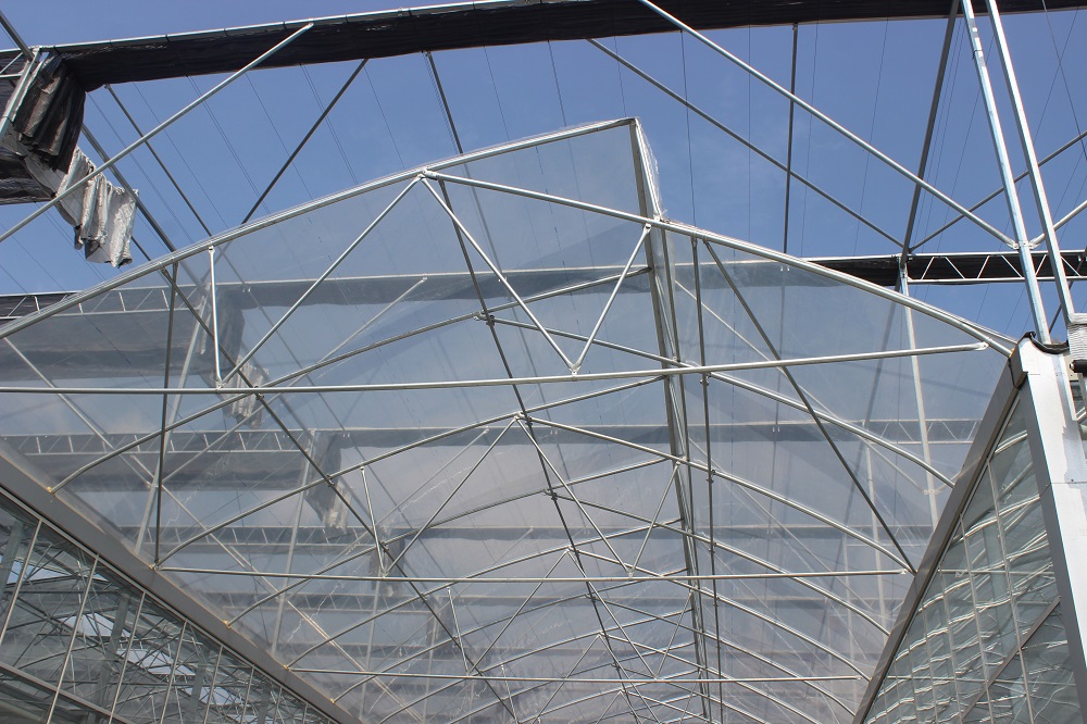 温室大棚发展的三个发展阶段