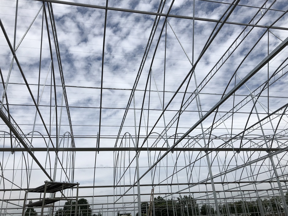 影响温室大棚性能的因素有哪些？