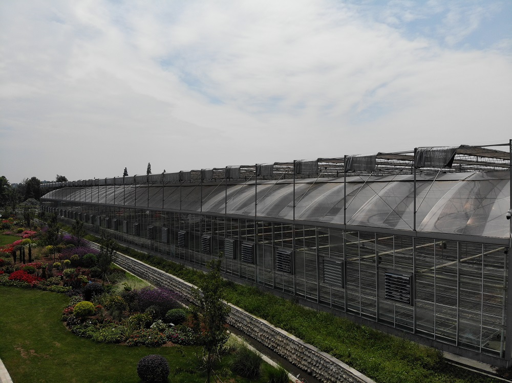 文洛式连栋温室有哪些种类？