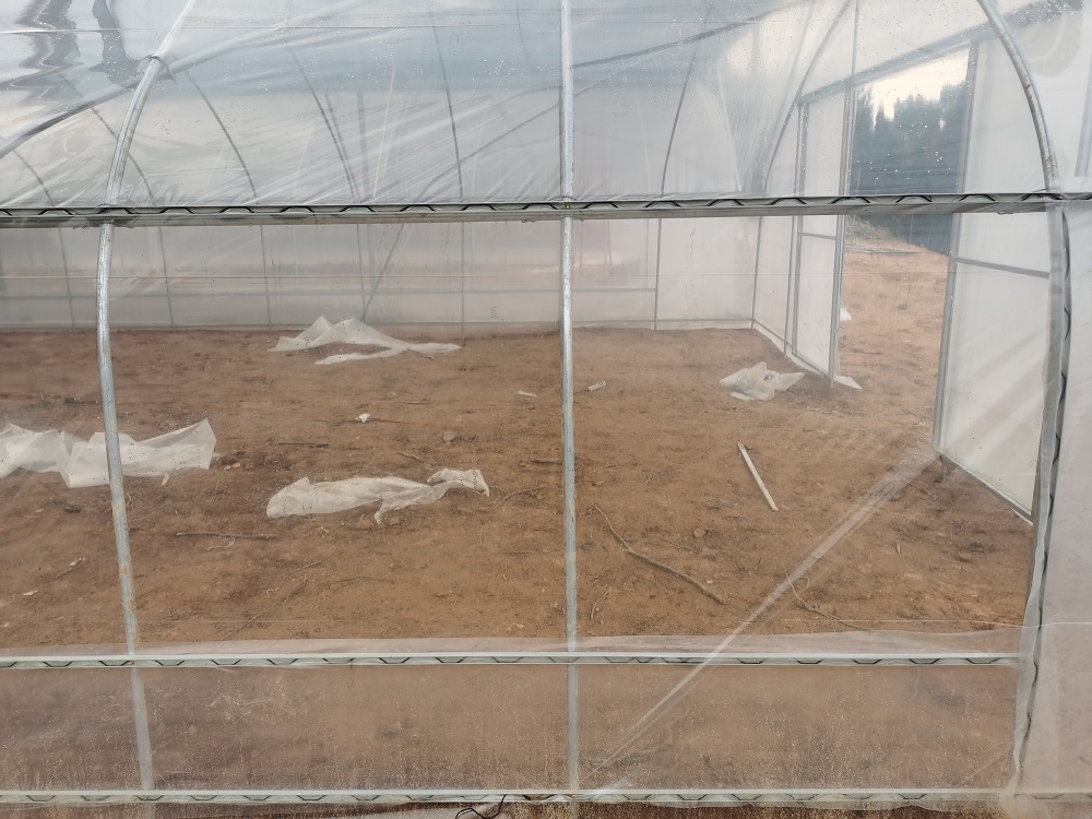 温室大棚换膜时需要注意什么？