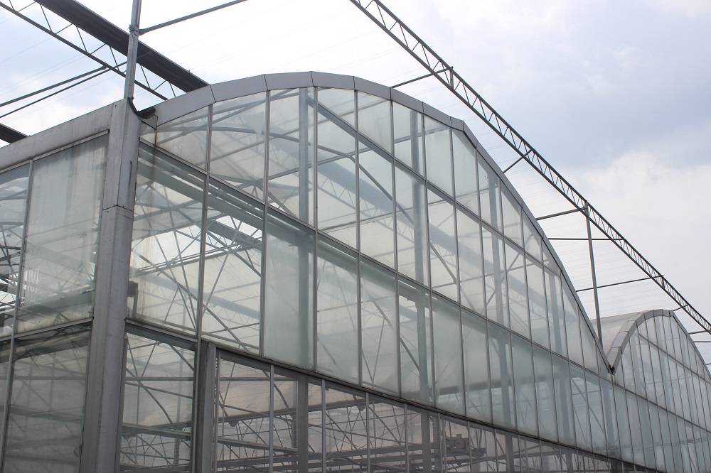 玻璃温室为什么要安装防虫网？