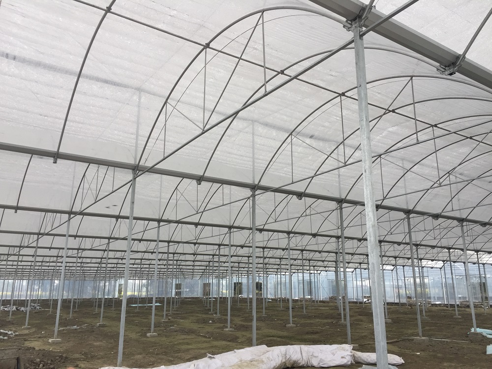 简易连栋温室有哪些优缺点？