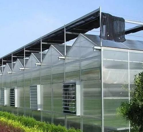 四川花卉大棚温室栽培如何管理？大棚养殖花卉的好处