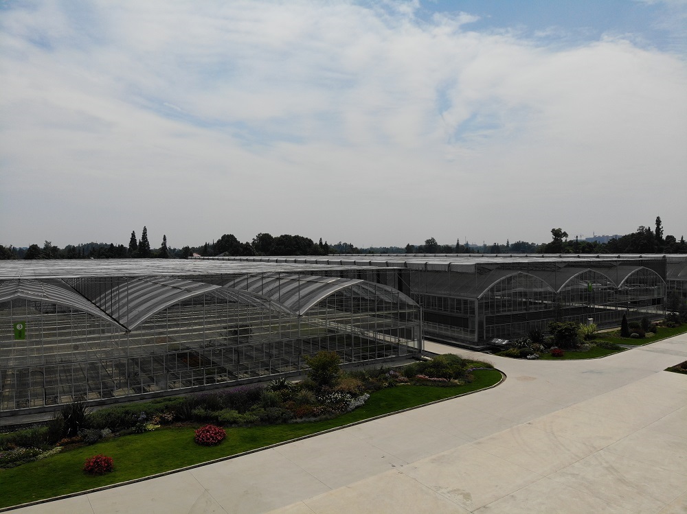 花卉温室栽培管理细节