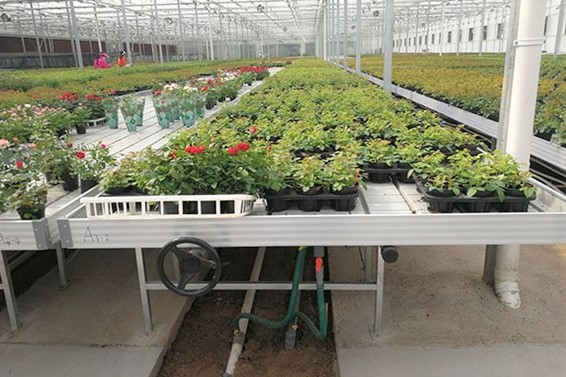 如何提高温室大棚的温度以及蔬菜控温