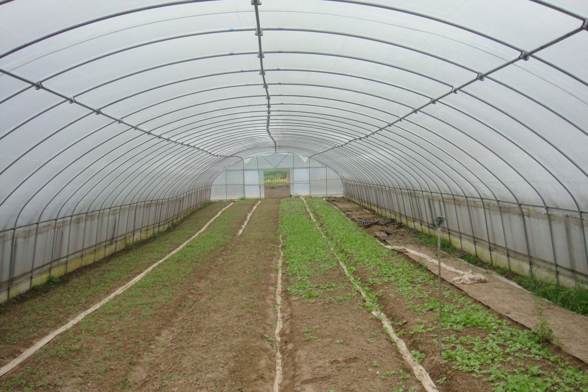 蔬菜温室大棚覆盖材料有哪些