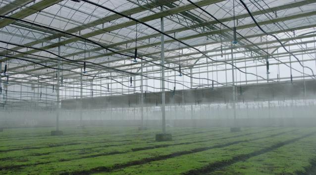 聚焦 | 四川温室大棚冬季增温18种妙招！