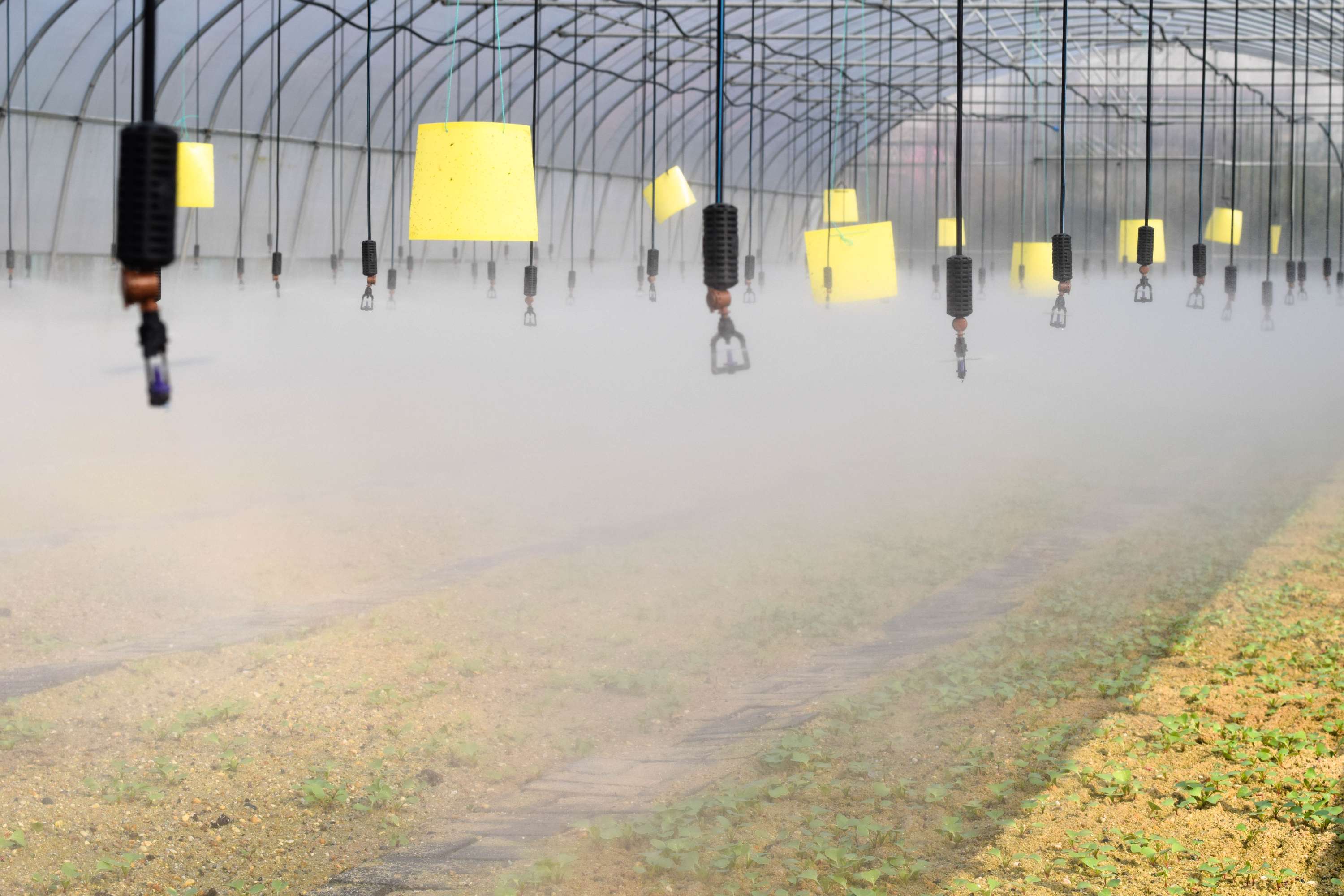 风机水帘降温系统