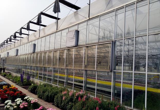 这样的?四川花卉温室大棚想要吗？