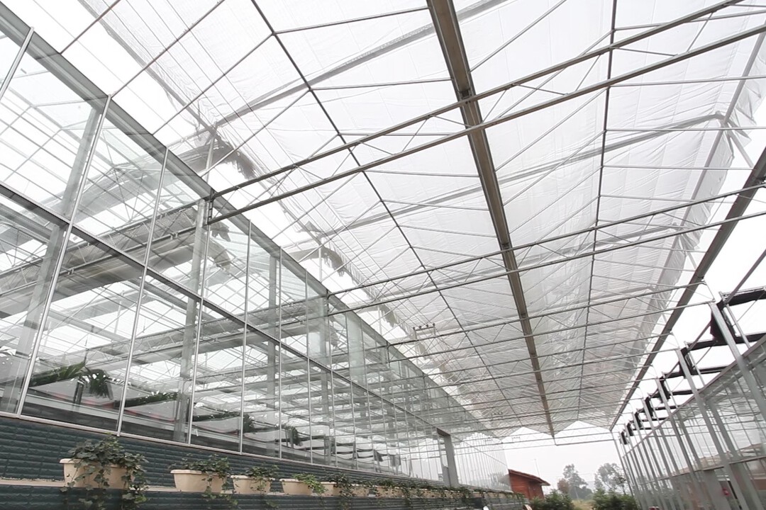 温室大棚如何选型，快来看一下