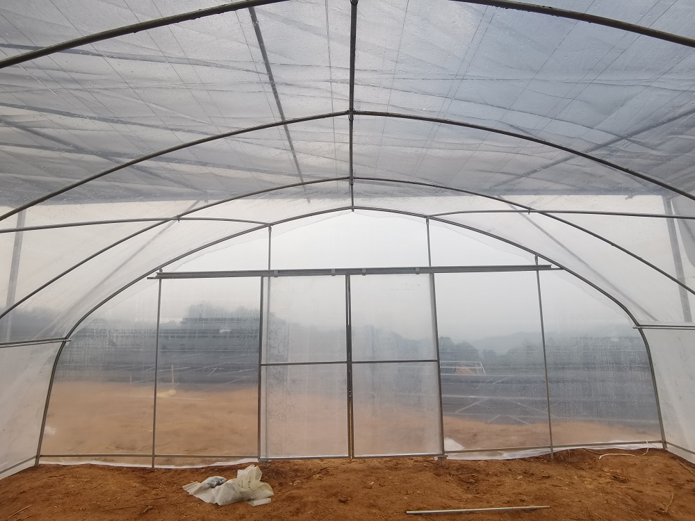 蔬菜种植薄膜温室大棚主体结构解析