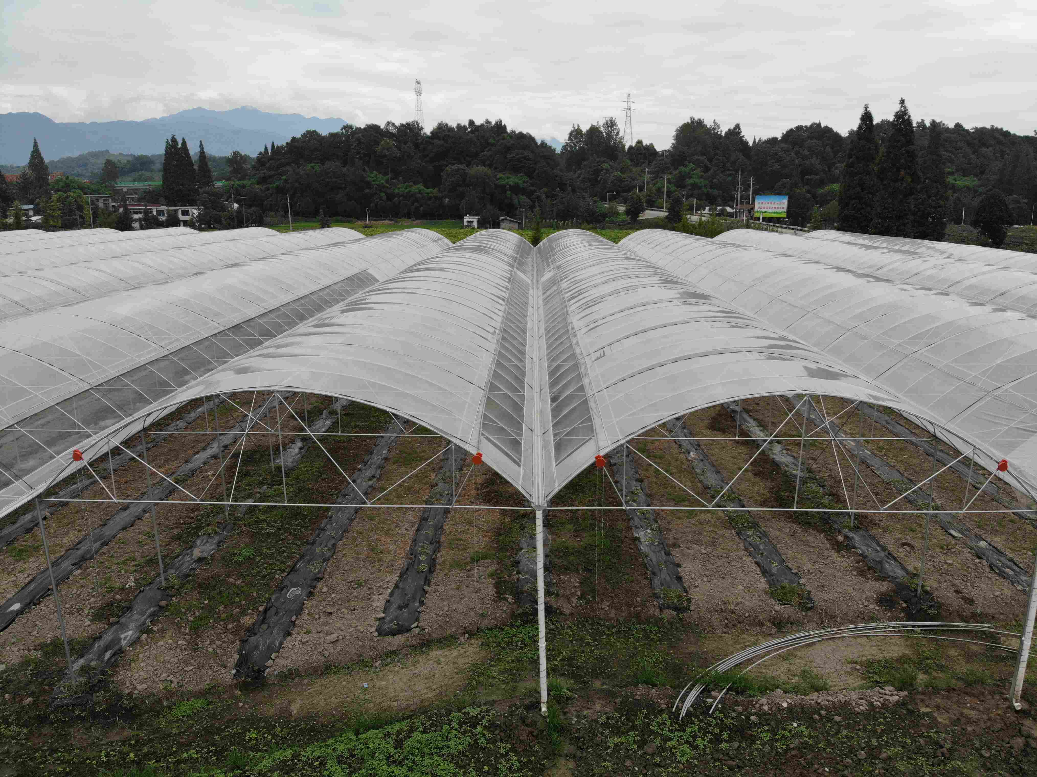 宽度8米的大棚用多宽的膜？安装时都有哪些技巧？