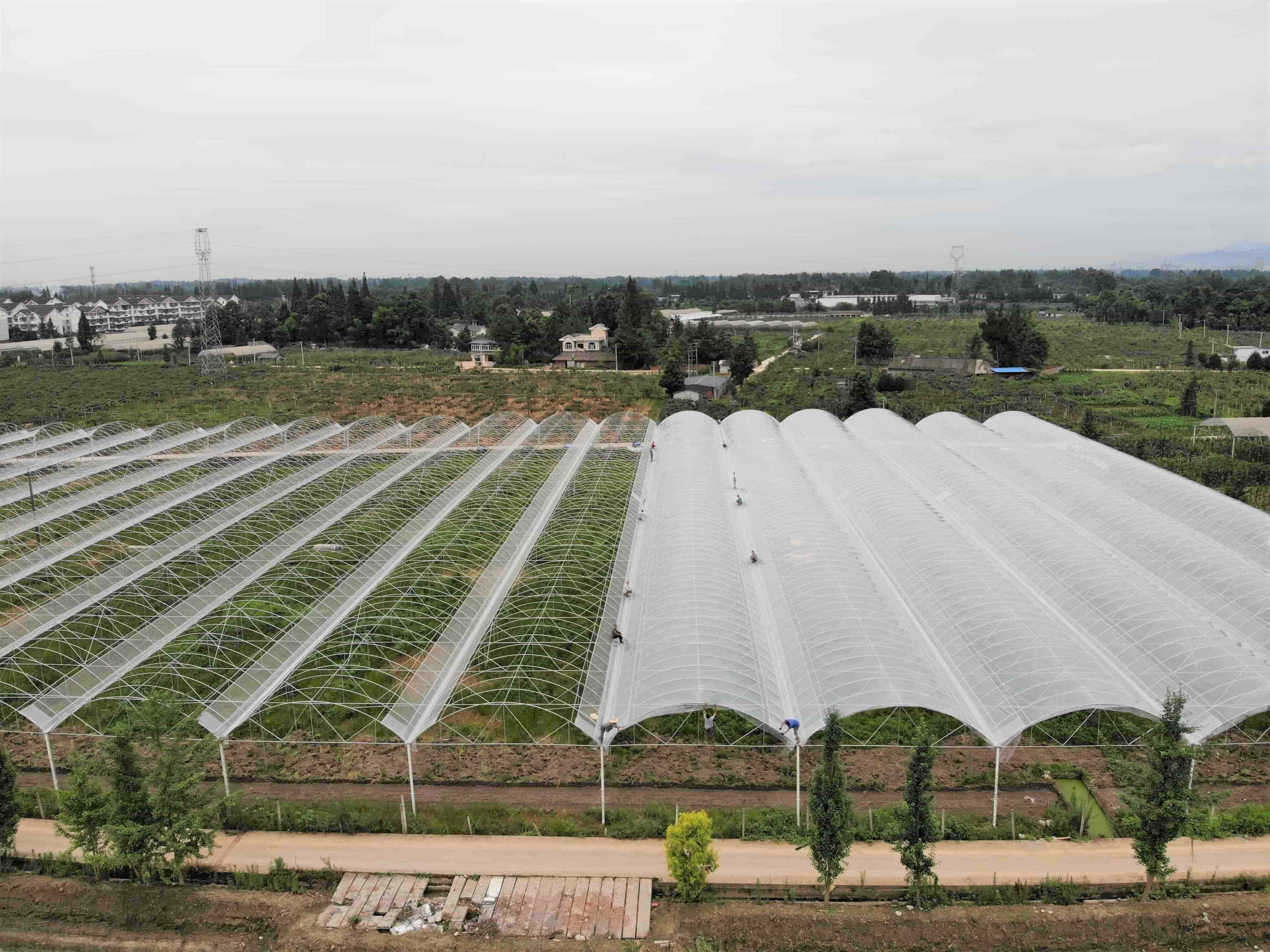 温室大棚建设有那些误区？