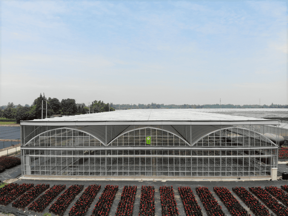 玻璃温室大棚建造注意事项有哪些？