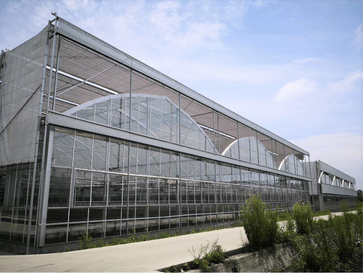 建造玻璃温室大棚的注意事项