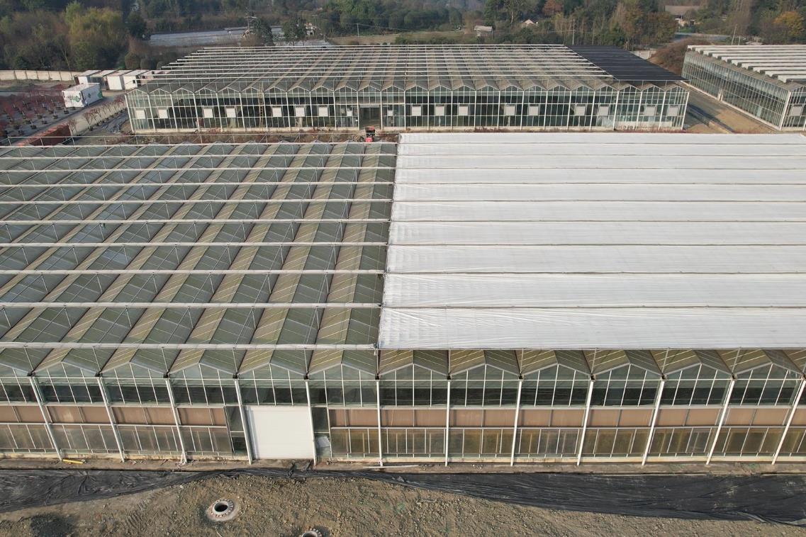 温江三联花木进出口园区