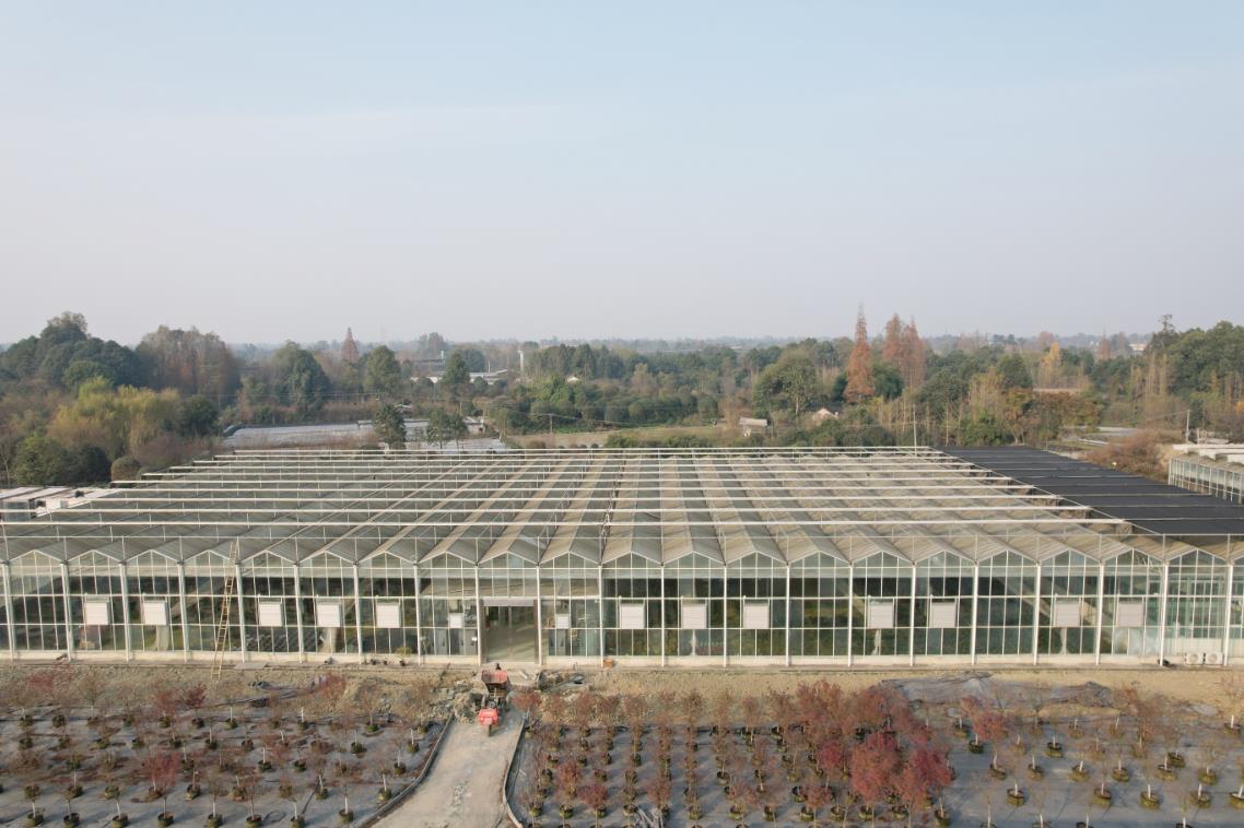 花卉栽培温室的种类及特点