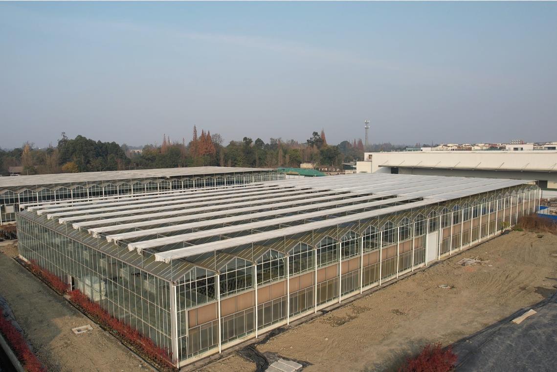 你想知道的玻璃温室的优缺点