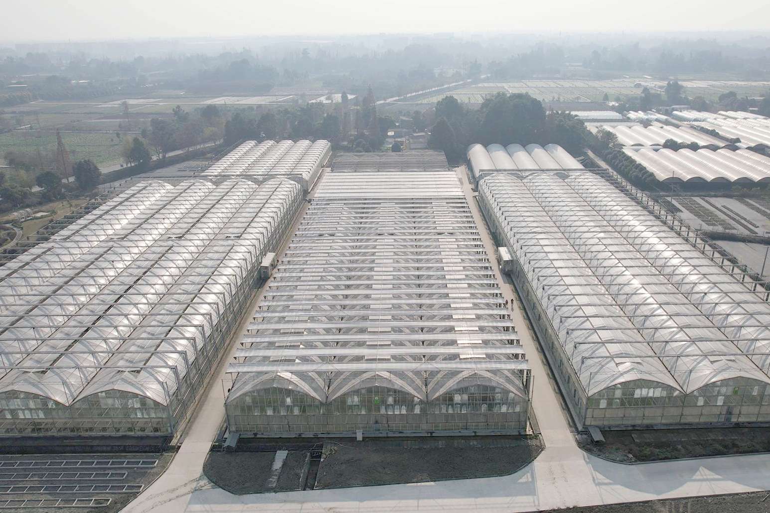 郫都金品花卉种苗育苗中心