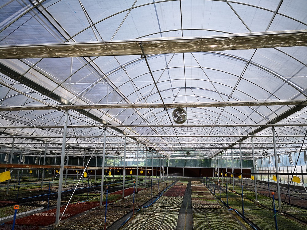 薄膜温室大棚的常规结构标准