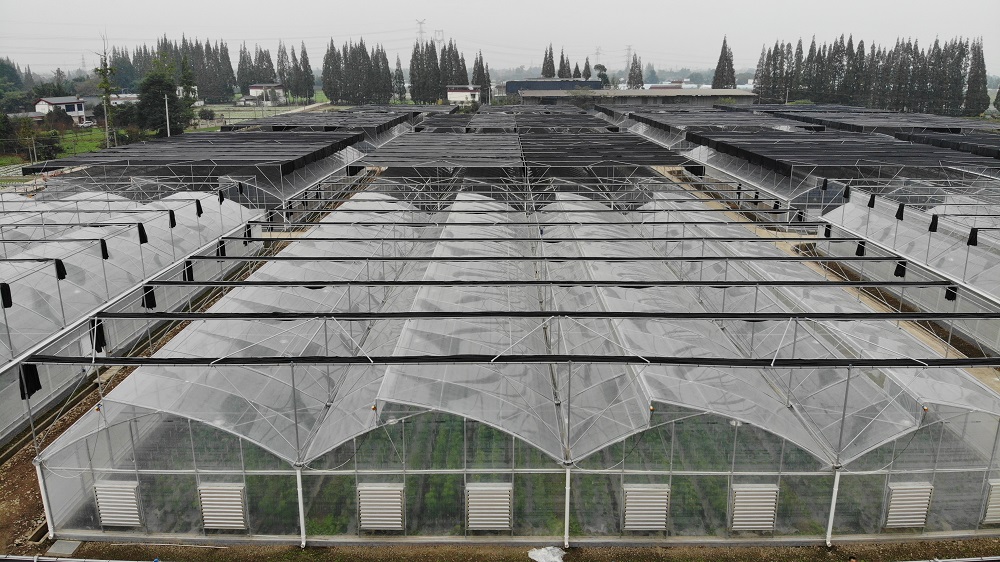 薄膜温室大棚建设的问题处理和采光影响因素