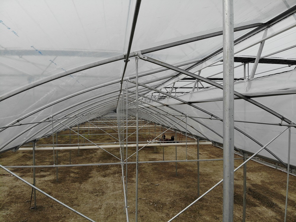 连栋温室大棚的设计应该满足什么样的要求