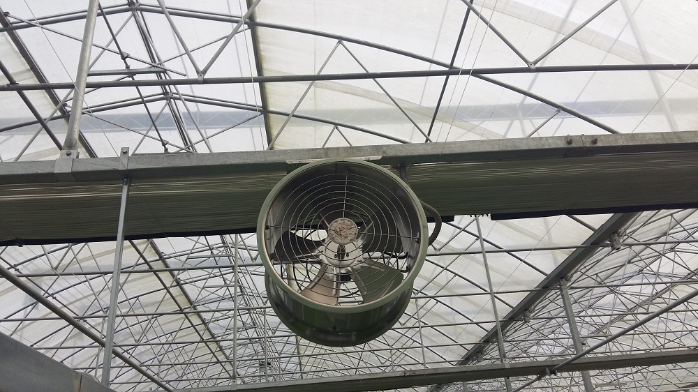 薄膜温室大棚的覆膜材料及特点