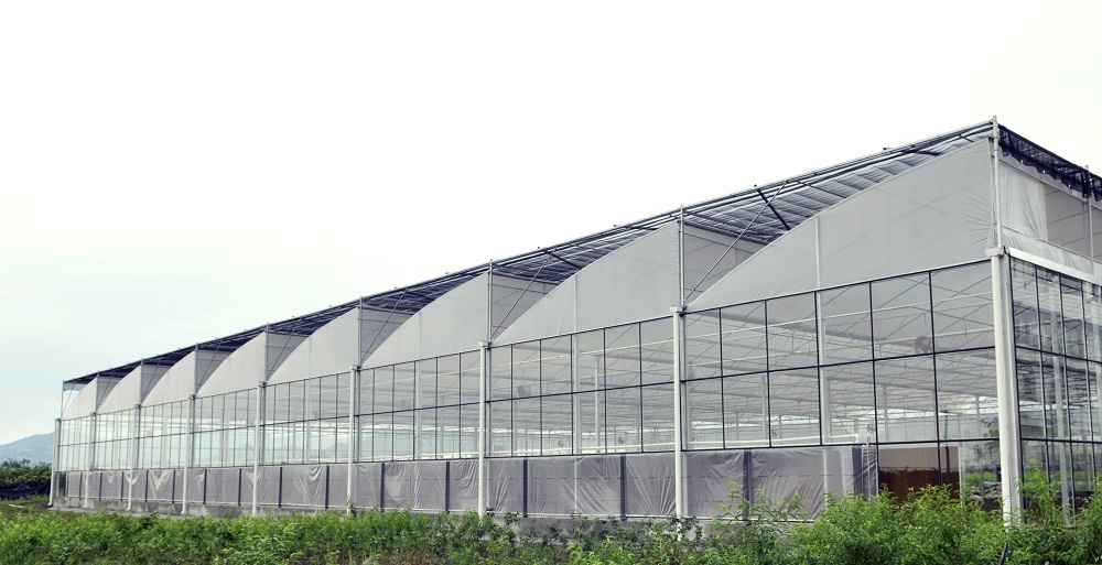 几种常见的连栋温室大棚推荐