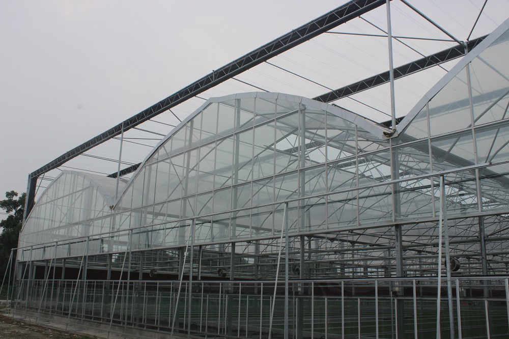 为什么玻璃温室大棚越来越受欢迎？