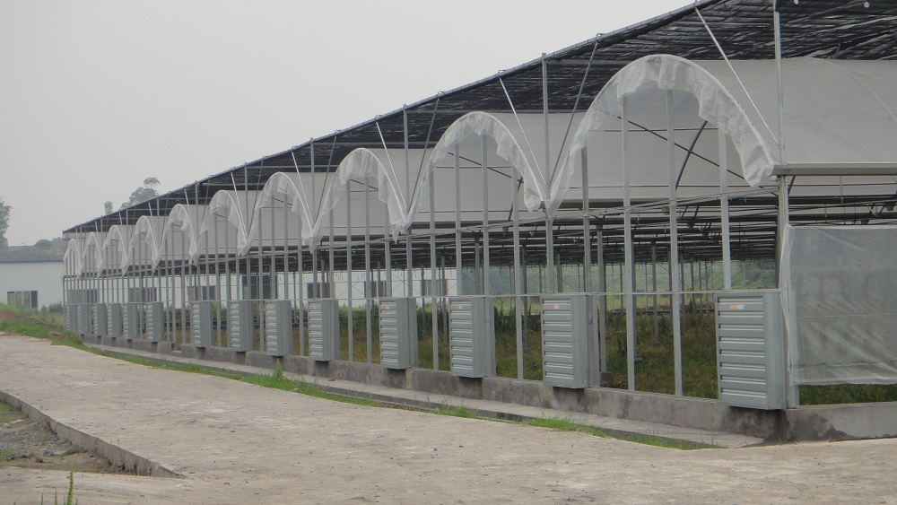 连栋温室大棚的结构及维护