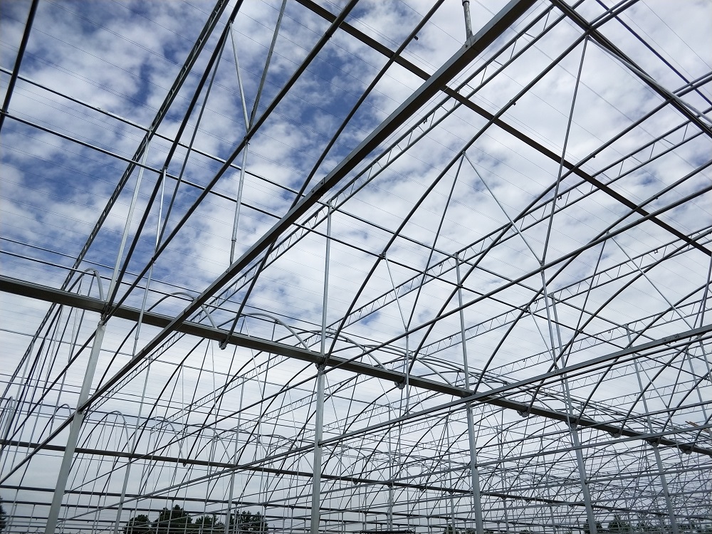 连栋温室大棚怎么建设？三大步骤四大注意