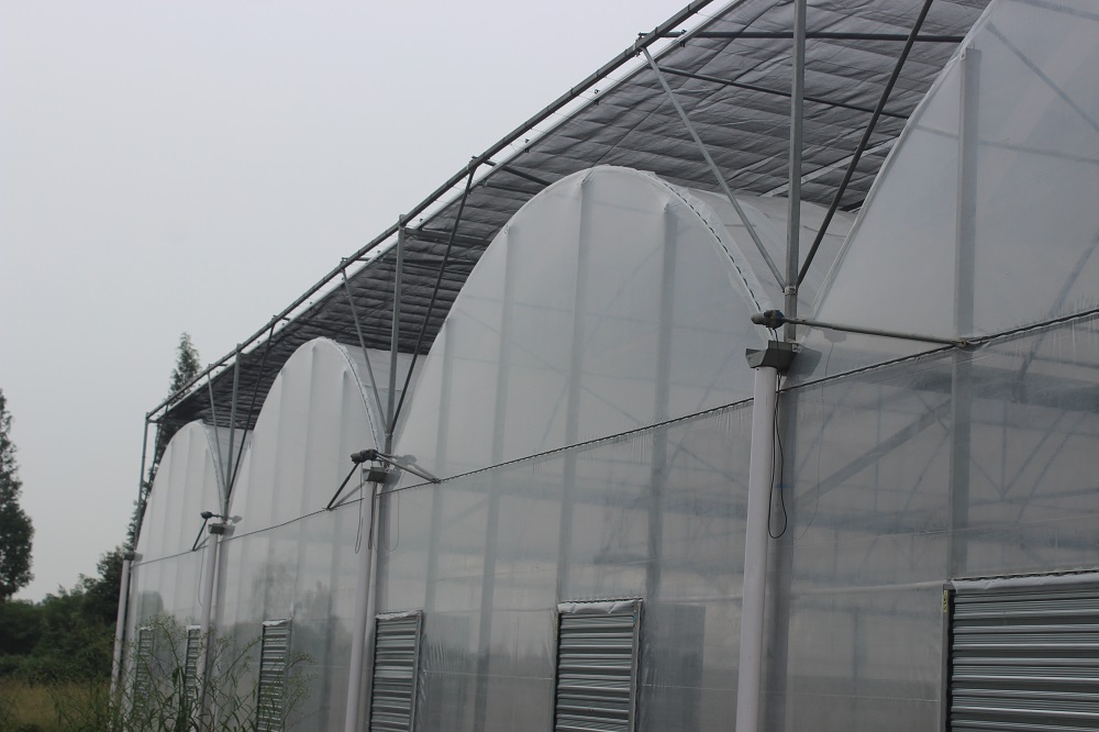 蔬菜薄膜连栋温室大棚设计应考虑什么因素