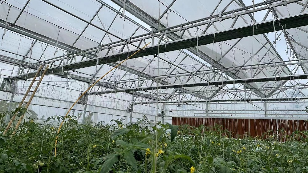 蔬菜薄膜连栋温室大棚该如何抗寒