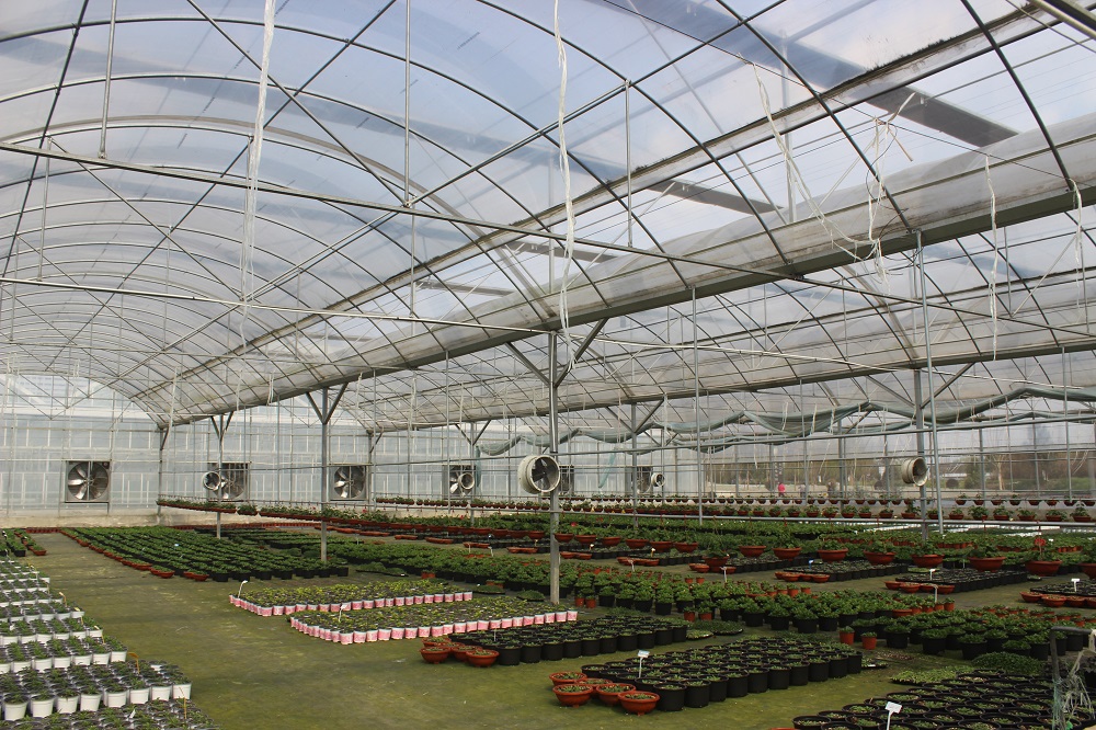 薄膜温室大棚通风注意事项