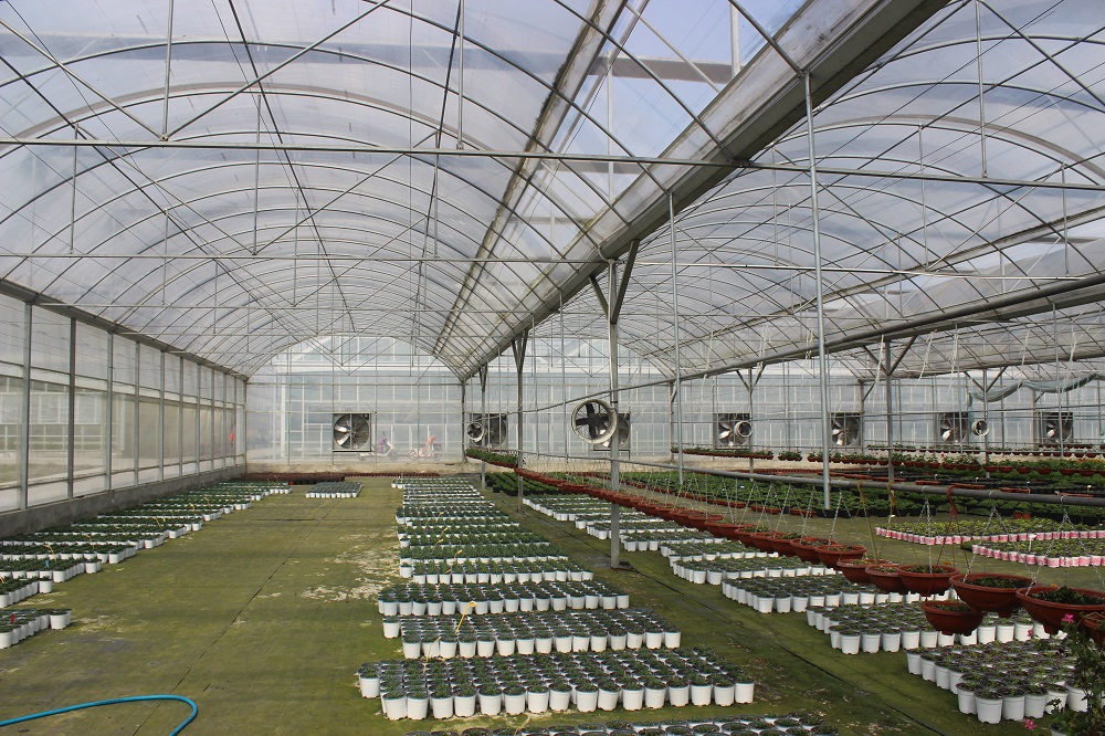 蔬菜薄膜连栋温室大棚的降湿管理