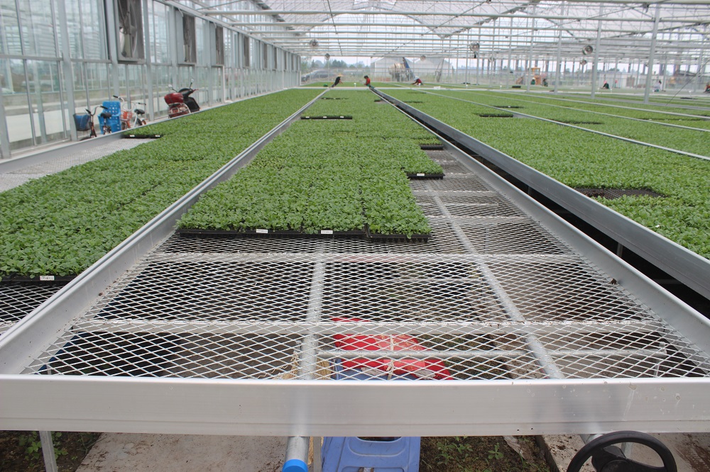 如何有效的减少温室病虫害