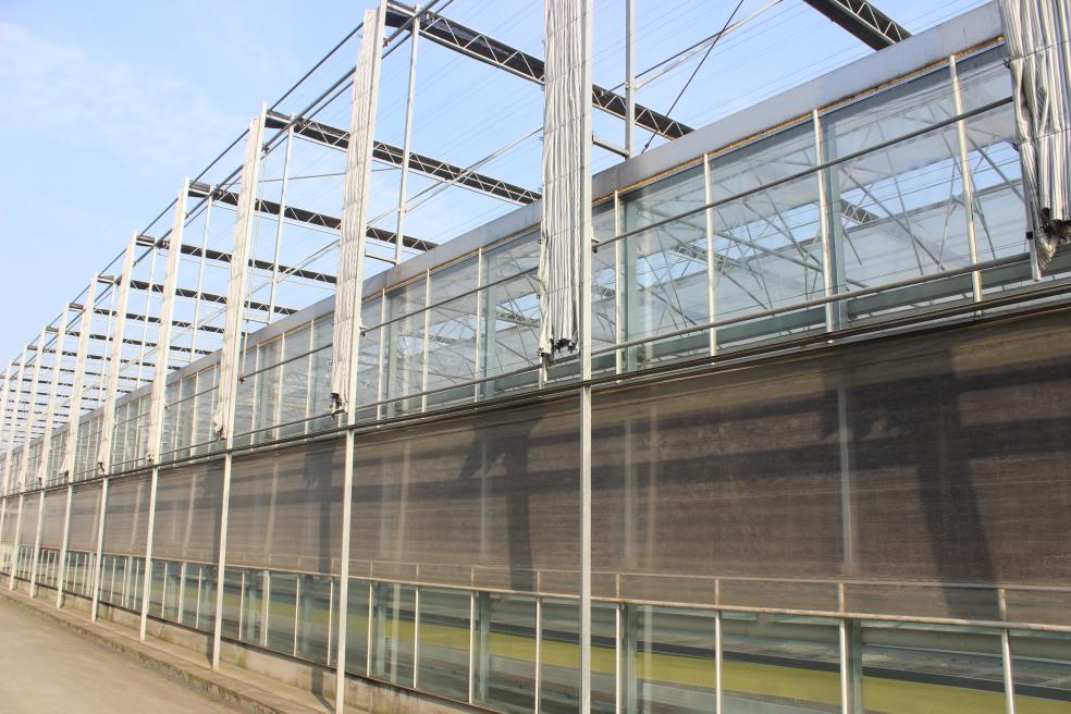 玻璃温室大棚应对雨雪天气的技巧