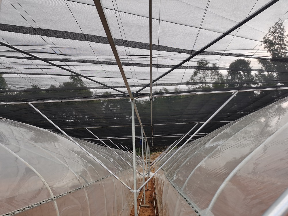 薄膜温室大棚的优点