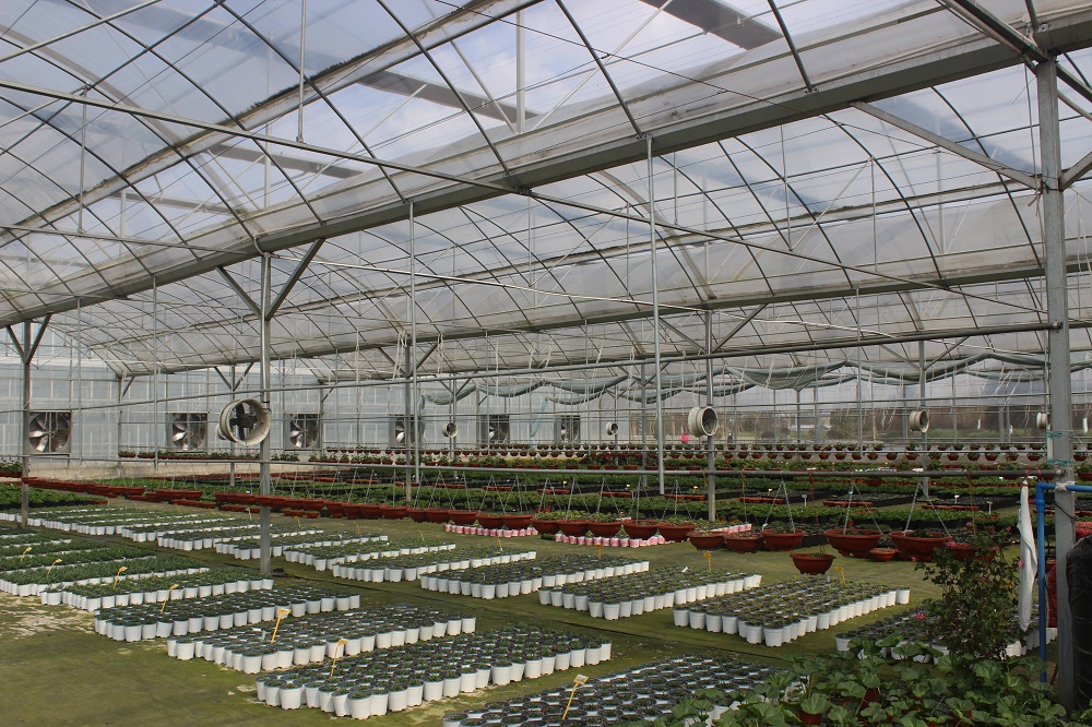 薄膜温室大棚增温保温的措施