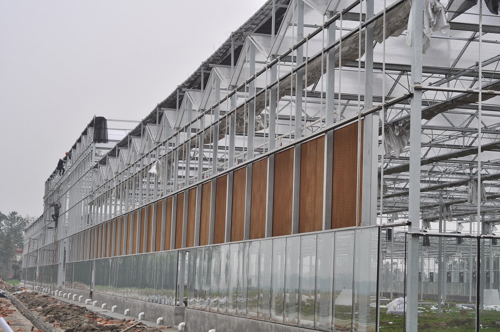 玻璃温室大棚的设计参考以及设计要求