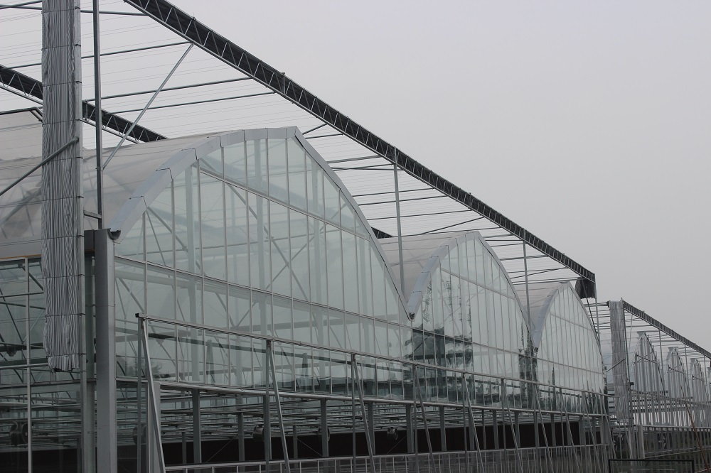 提高连栋温室大棚采光的方法