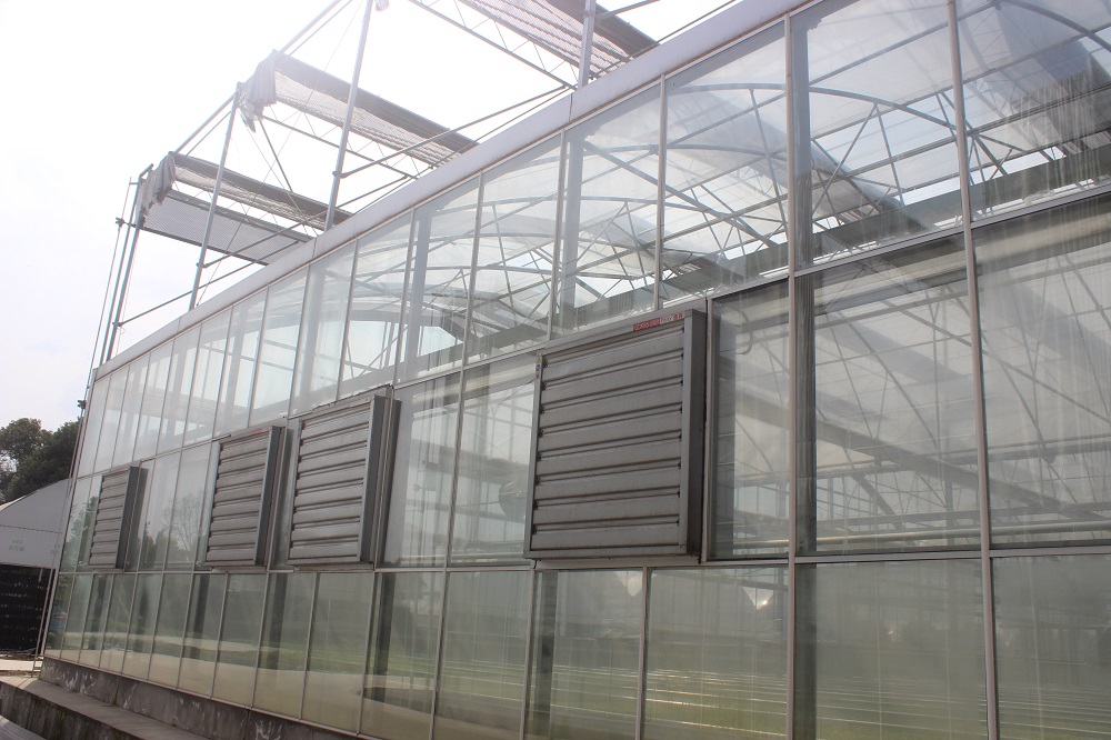 玻璃温室大棚怎样进行降湿