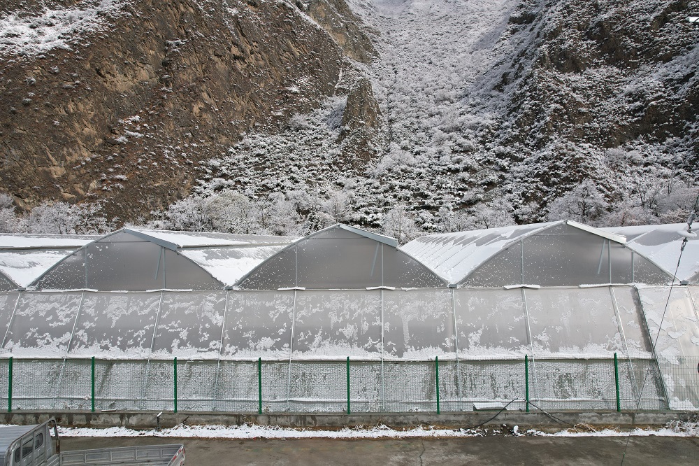 冬季，蔬菜大棚连续遇到雨雪天气该怎么办？