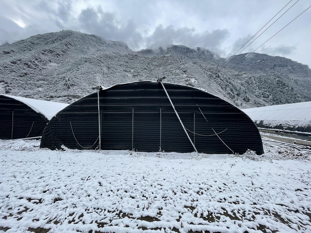 冬季温室大棚的防风加固措施