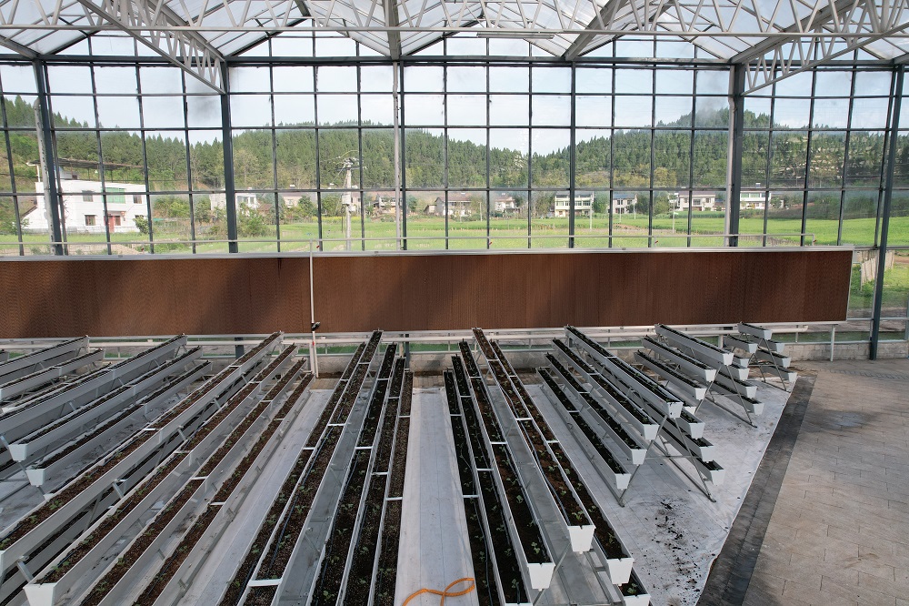 建设玻璃温室大棚需要考虑些什么